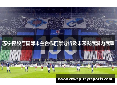 苏宁控股与国际米兰合作前景分析及未来发展潜力展望 苏宁控股与国际米兰合作前景分析及未来发展潜力展望