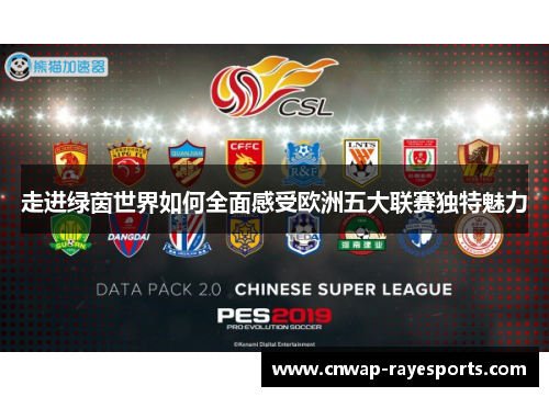 走进绿茵世界如何全面感受欧洲五大联赛独特魅力