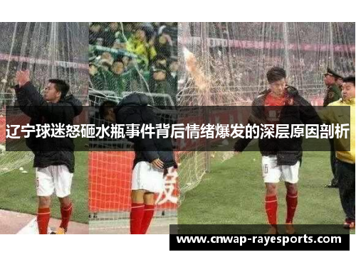 辽宁球迷怒砸水瓶事件背后情绪爆发的深层原因剖析 辽宁球迷怒砸水瓶事件背后情绪爆发的深层原因剖析