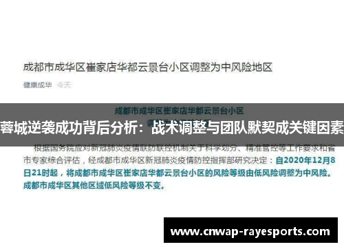 蓉城逆袭成功背后分析：战术调整与团队默契成关键因素