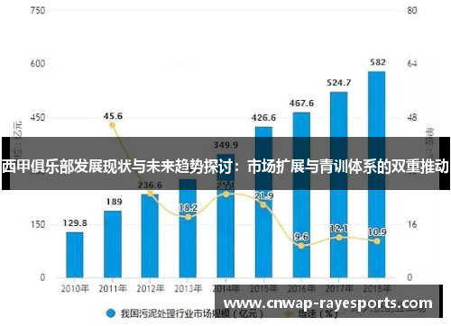 西甲俱乐部发展现状与未来趋势探讨：市场扩展与青训体系的双重推动